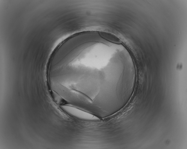 X0000095121230200712301753