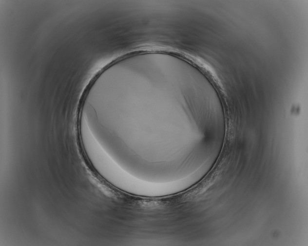 X0000095121231200712301753