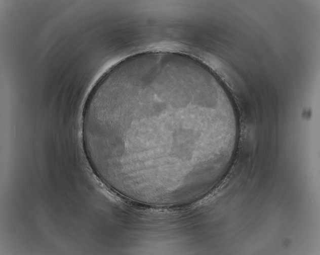 X0000095121232200712301753