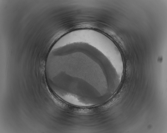 X0000095121233200712301753