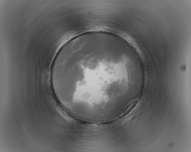 X0000095121234200712301753