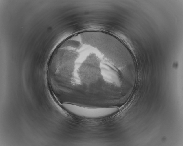 X0000095121235200712301753