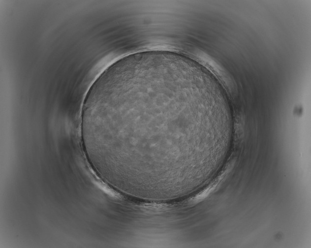 X0000095121236200712301753