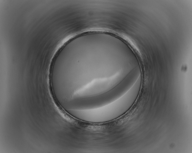 X0000095121237200712301753