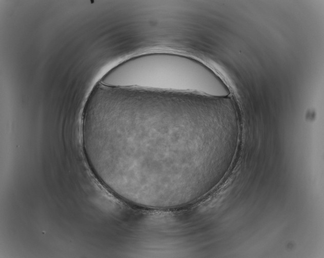 X0000095121238200712301753