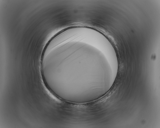 X0000095121239200712301753