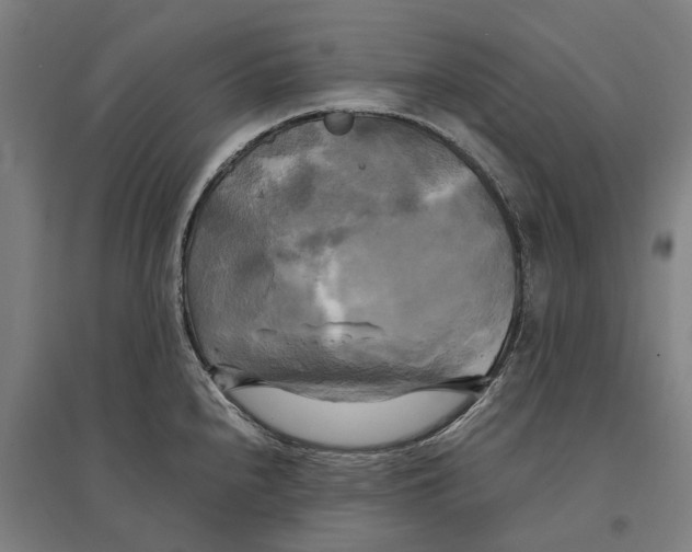 X0000095121240200712301753