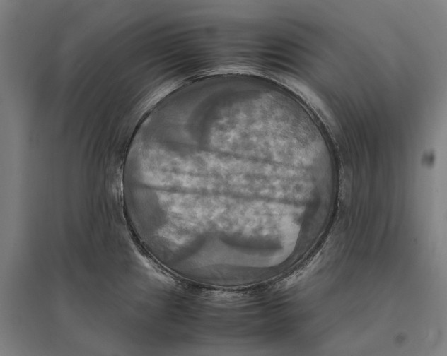 X0000095121241200712301753