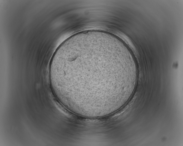 X0000095121242200712301753