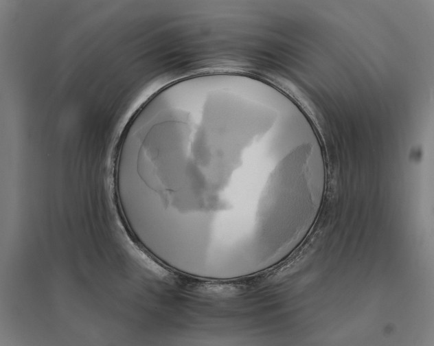 X0000095121243200712301753