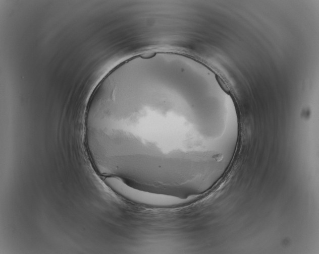 X0000095121244200712301753