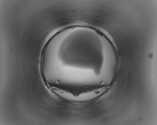 X0000095121245200712301753