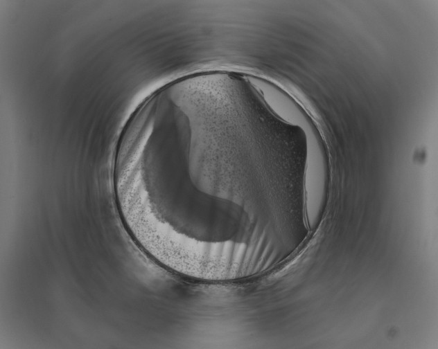 X0000095121246200712301753