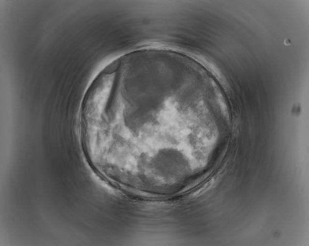 X0000095121247200712301753