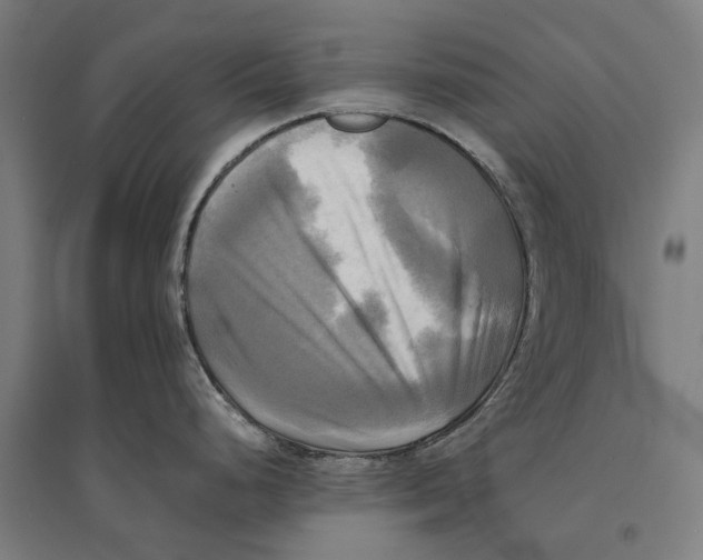 X0000095121248200712301753