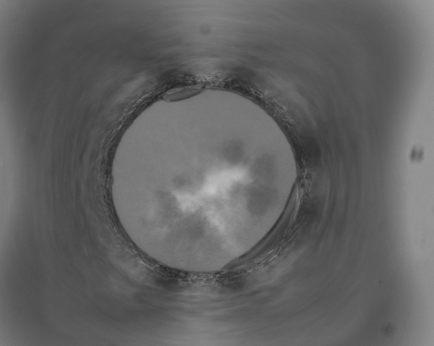 X0000095121249200712301752