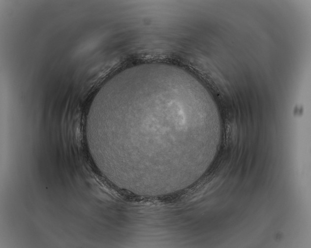 X0000095121250200712301752