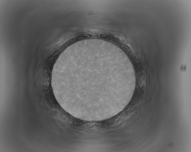 X0000095121253200712301752