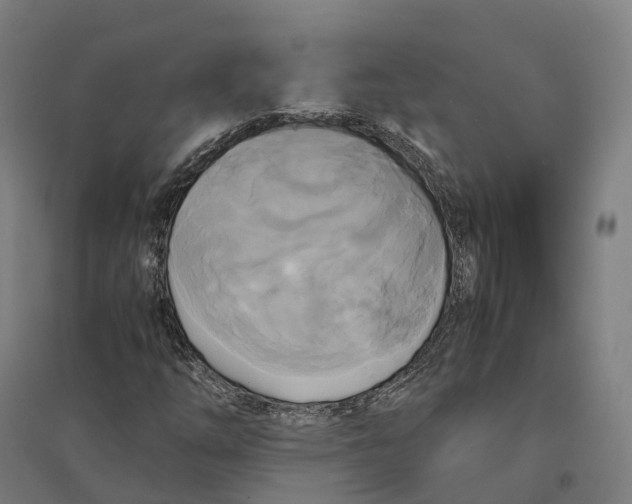 X0000095121254200712301752