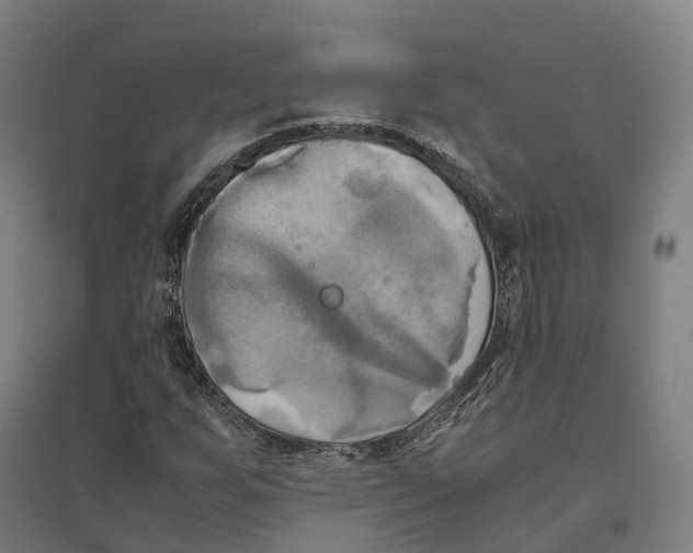 X0000095121255200712301752