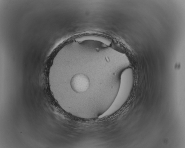 X0000095121256200712301752