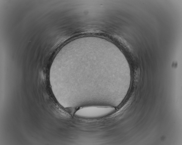 X0000095121257200712301752