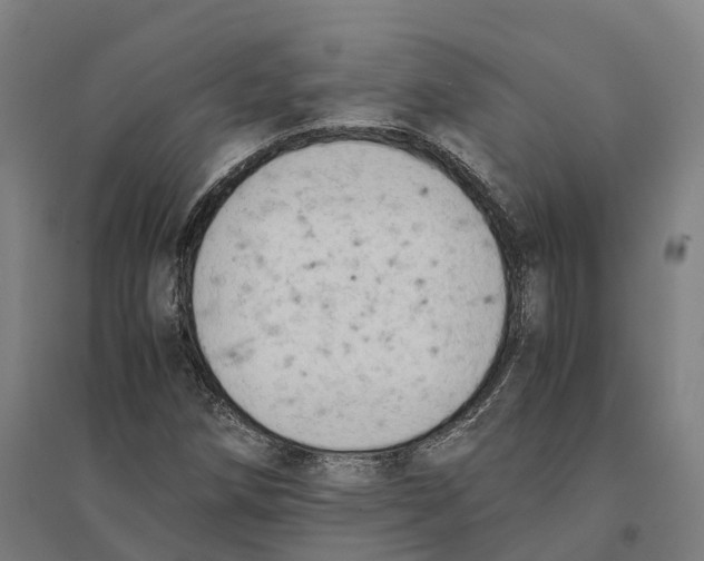 X0000095121258200712301752