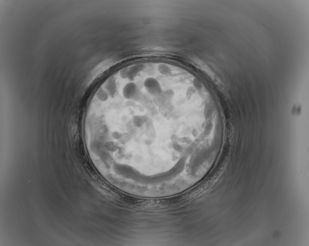 X0000095121259200712301752