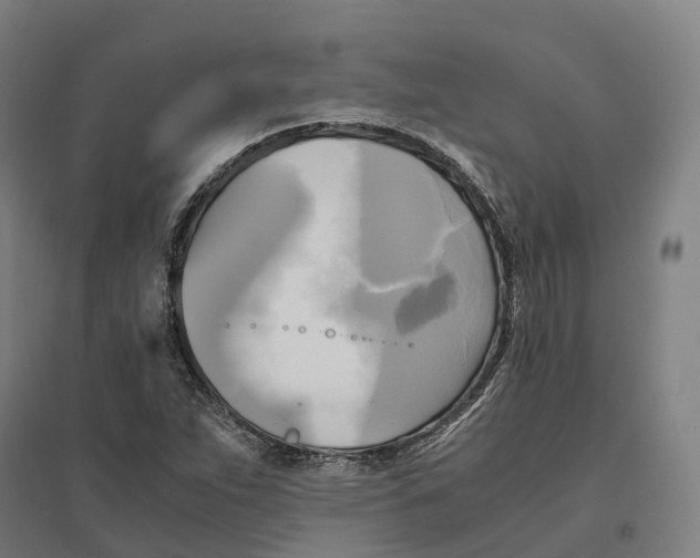 X0000095121263200712301752