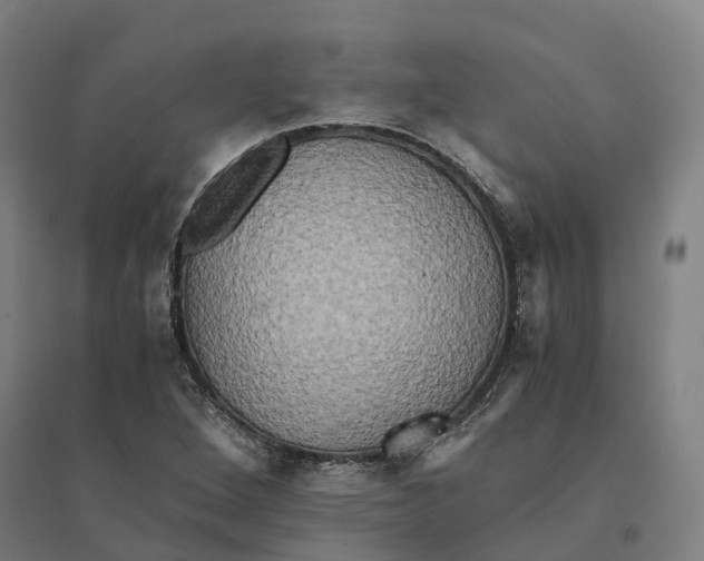 X0000095121264200712301752