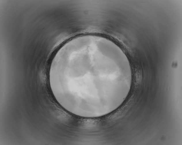 X0000095121266200712301752