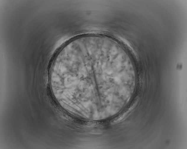 X0000095121267200712301752