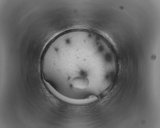 X0000095121268200712301752