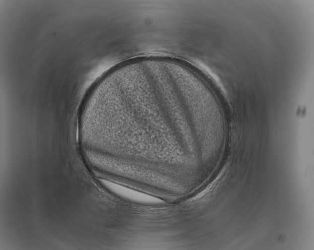 X0000095121269200712301752