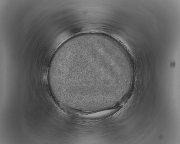 X0000095121273200712301752