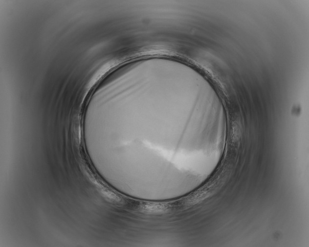 X0000095121274200712301752