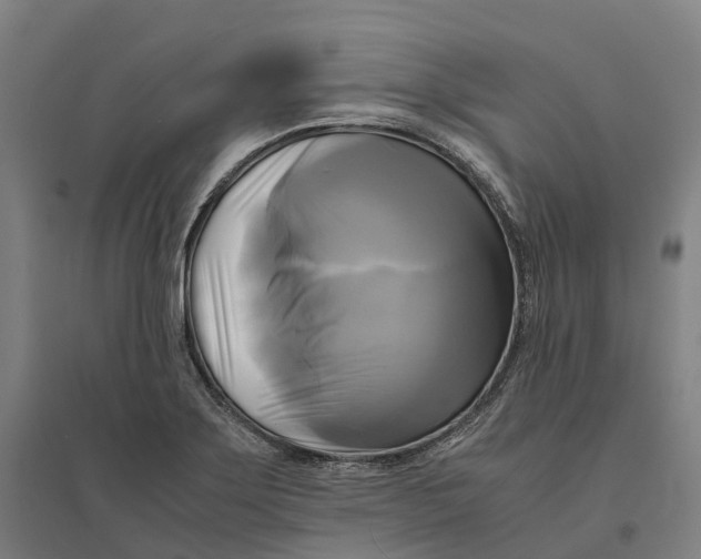 X0000095121275200712301752