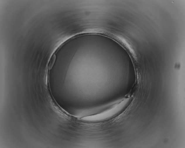 X0000095121276200712301752