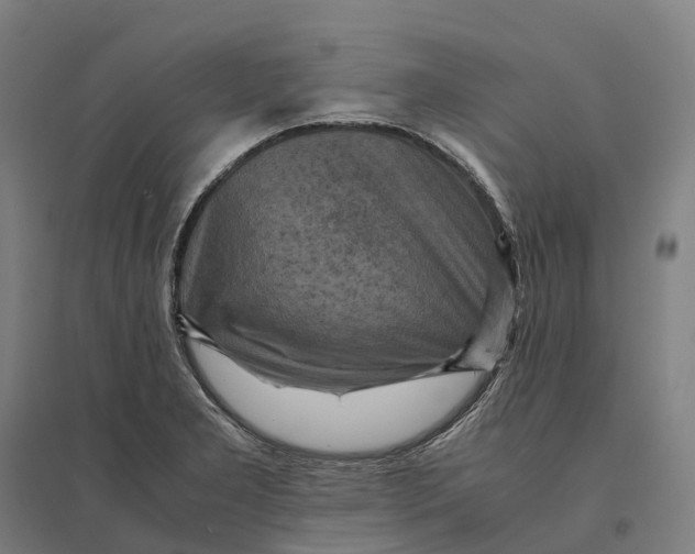 X0000095121277200712301752