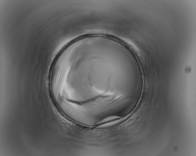 X0000095121279200712301752