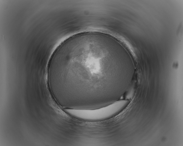 X0000095121280200712301752