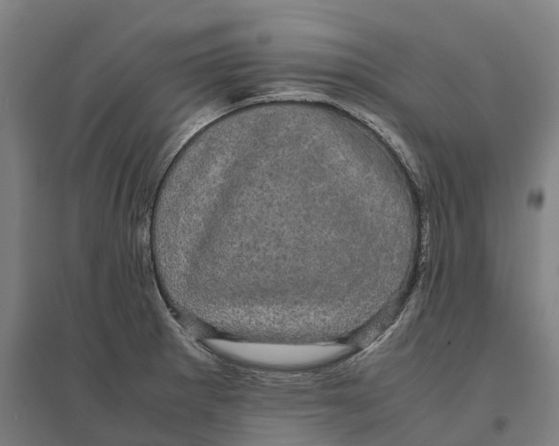 X0000095121281200712301751