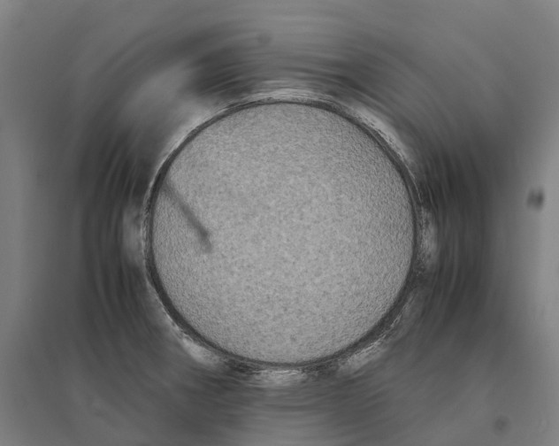 X0000095121282200712301751