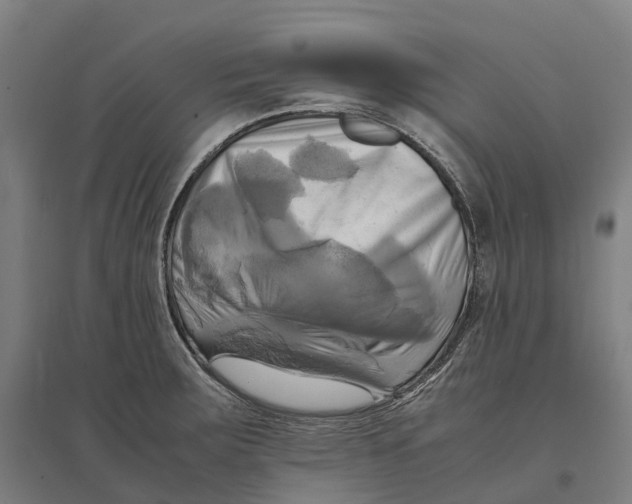 X0000095121283200712301751