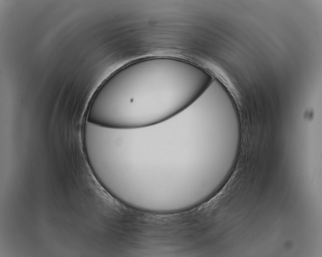 X0000095121284200712301751