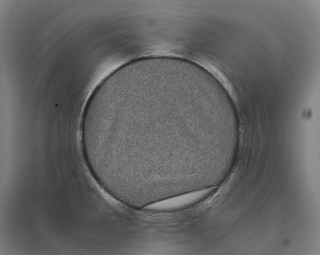 X0000095121285200712301751