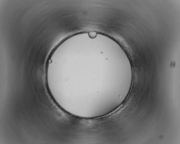 X0000095121286200712301751