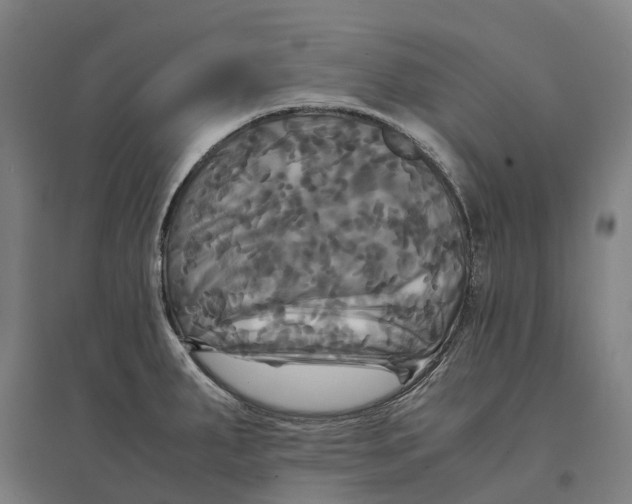 X0000095121287200712301751