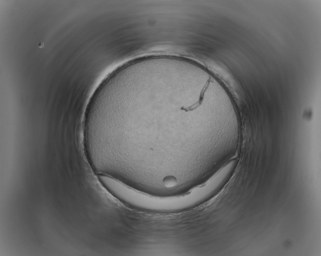 X0000095121288200712301751