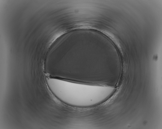 X0000095121289200712301751